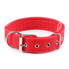 Comfortabl Collar