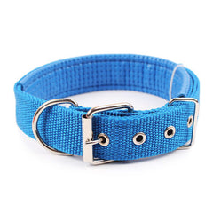 Comfortabl Collar