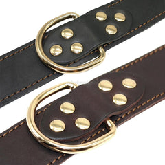 Genuine Leather Dog Collar