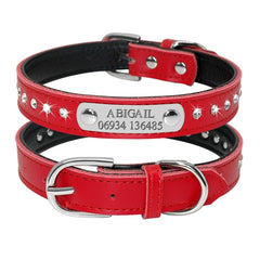 Collars Adjustable  Personalize