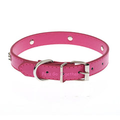 Collar Durable PU