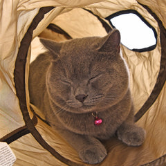 Lovely Tunnel For Cats