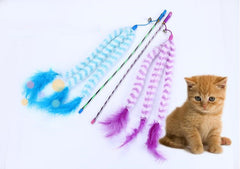 Funny Cat Feather