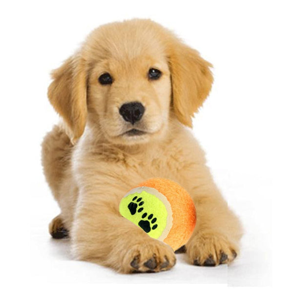 Nice Balls For Dogs