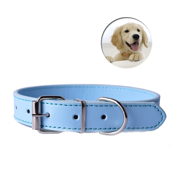 Fashion Leather Collar