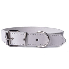 Fashion Leather Collar