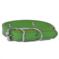 Fashion Leather Collar