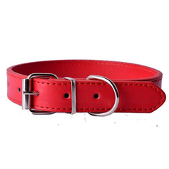 Fashion Leather Collar