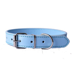 Fashion Leather Collar