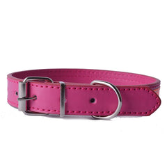 Fashion Leather Collar