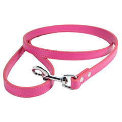 Fashion Leather Collar