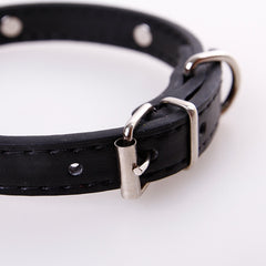 Durable   Collar