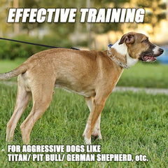 metal Collar Training