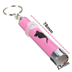 Funny Pet LED Laser