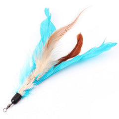 LOT Color Feather