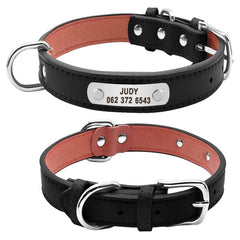 D ogs Cat ID Collars