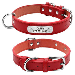 D ogs Cat ID Collars