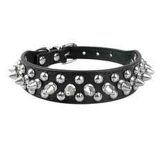 Cool Spiked Collars