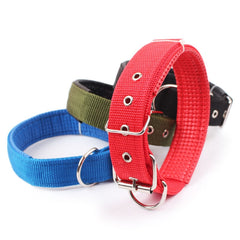 Comfortabl Collar