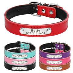 Leathe  Personalized Collars