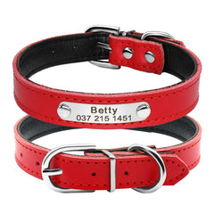 Leathe  Personalized Collars