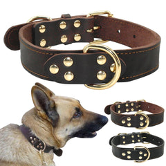 Genuine Leather Dog Collar