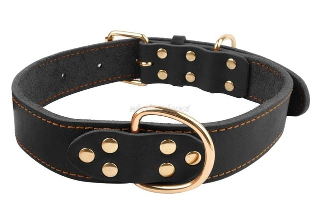 Genuine Leather Dog Collar