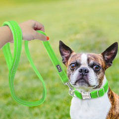 strong collar