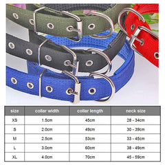 Comfortabl Collar