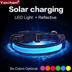 Collar Nylon Solar USB Rechargeable LED