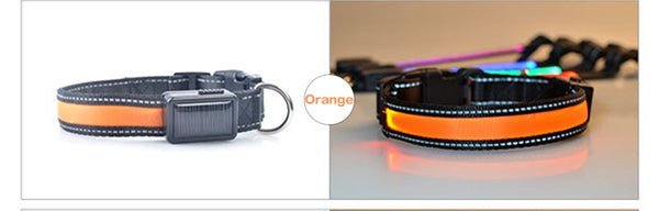 Collar Nylon Solar USB Rechargeable LED