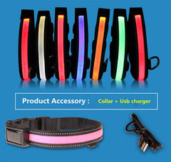 Collar Nylon Solar USB Rechargeable LED