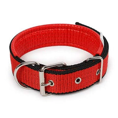 Comfortabl Collar