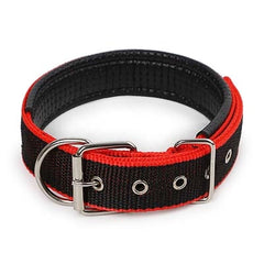 Comfortabl Collar