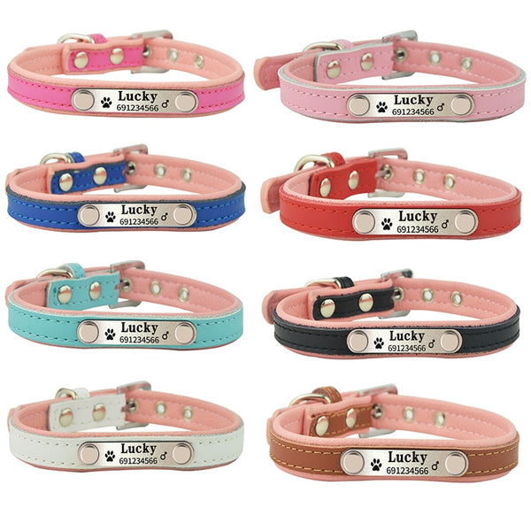 Personalized Colla