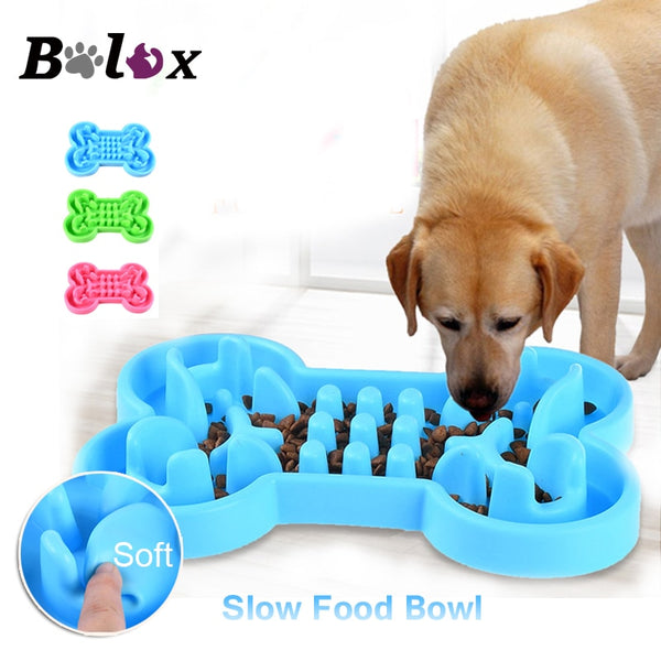 Bowl Healthy For Dog