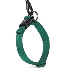 Double Ring  collar