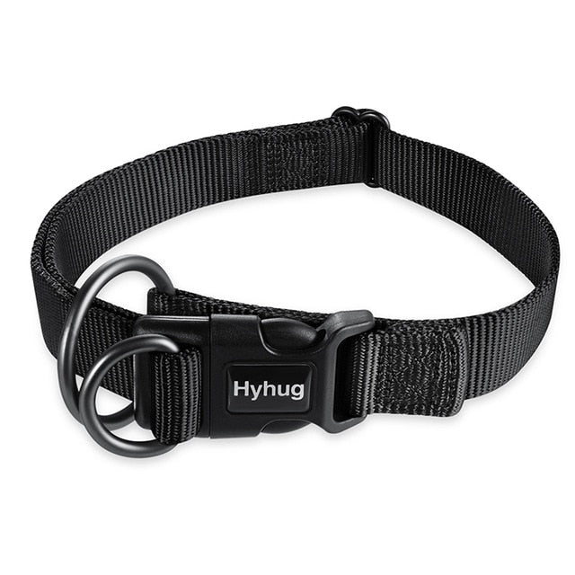 Double Ring  collar
