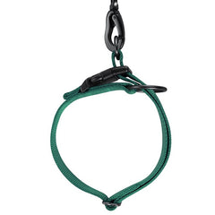 Double Ring  collar