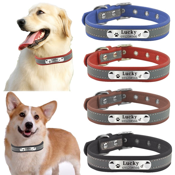 New Arrival  dog Name Collar