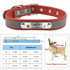 New Arrival  dog Name Collar