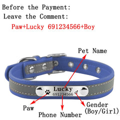 New Arrival  dog Name Collar