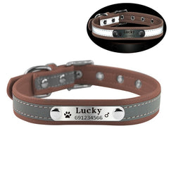 New Arrival  dog Name Collar