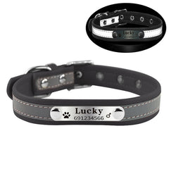 New Arrival  dog Name Collar