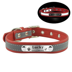 New Arrival  dog Name Collar