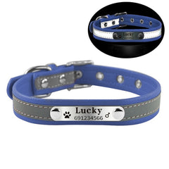 New Arrival  dog Name Collar