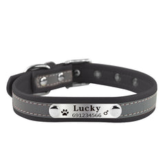 New Arrival  dog Name Collar