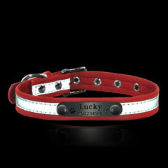 New Arrival  dog Name Collar