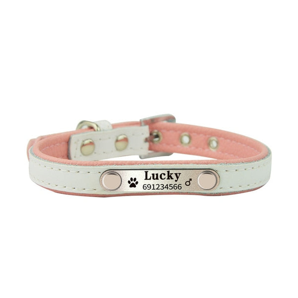 Personalized Colla