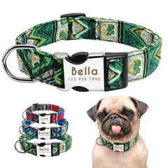 Nylon Collar Perro